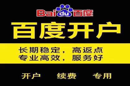 某企业SEM广告投放的转化率提升秘诀